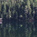 A photo by Paul Gilmore. unsplash.com/photos/BfLyP-vPoOI