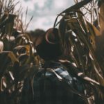 A photo by João Silas. unsplash.com/photos/eh_vUyioHhc